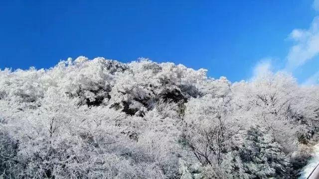 逗小猴开心系列165