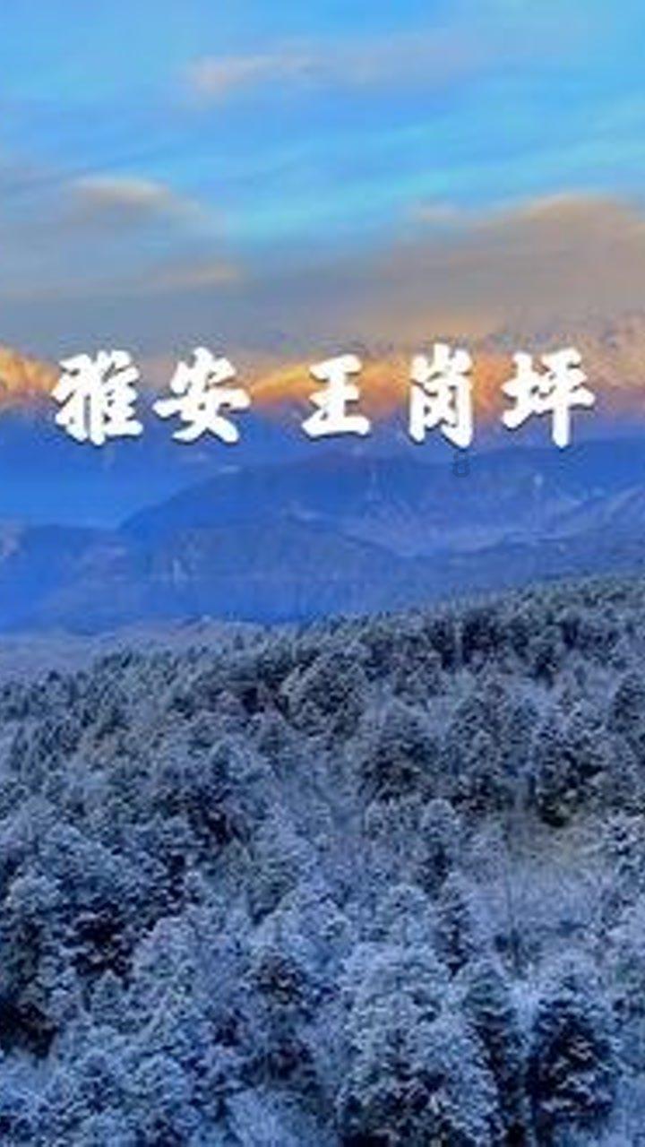 天上掉下个小猪猪